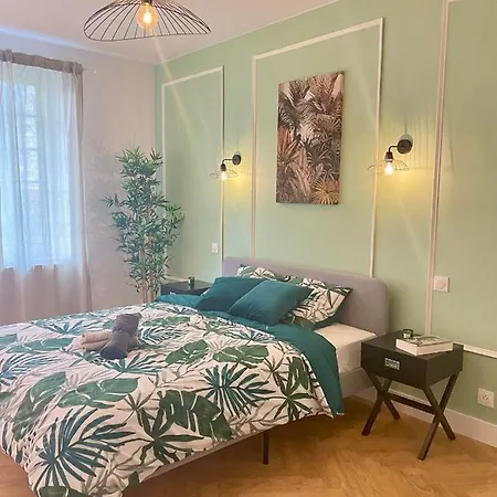 Jungleclassic En Plein Coeur De Appartamento Mulhouse