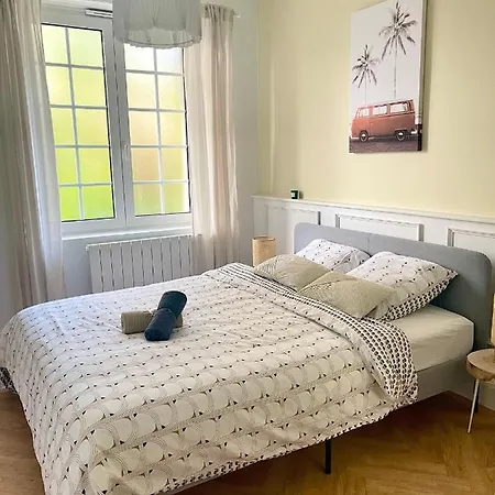 Jungleclassic En Plein Coeur De *