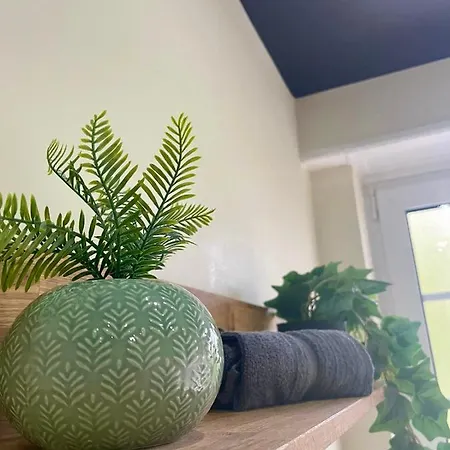 Jungleclassic En Plein Coeur De 牟罗兹